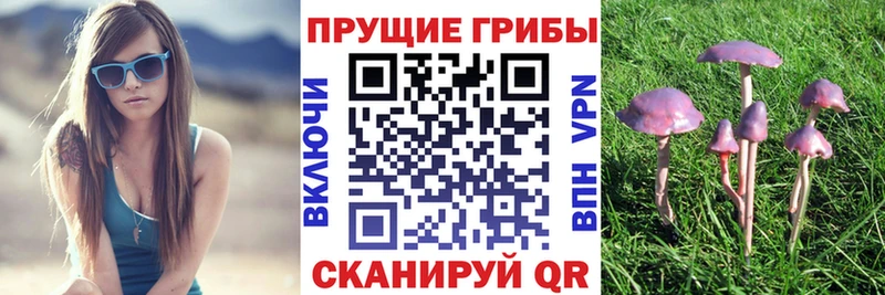 Псилоцибиновые грибы мицелий  Купить  Луза 