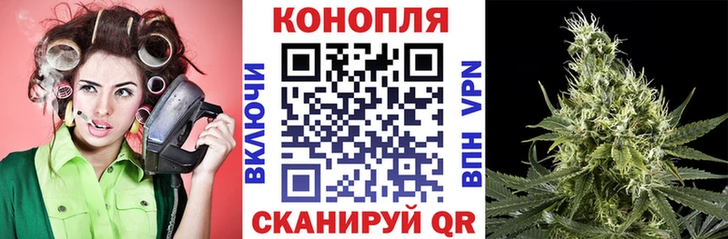 Купить  Луза  Бошки марихуана OG Kush 